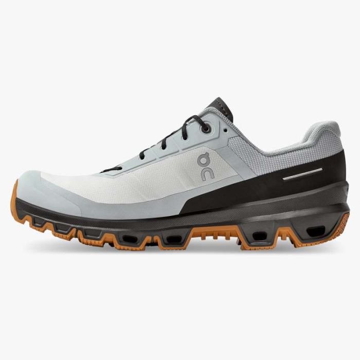 On Cloud Shoes Canada Men's Cloudventure-Glacier | Thorn